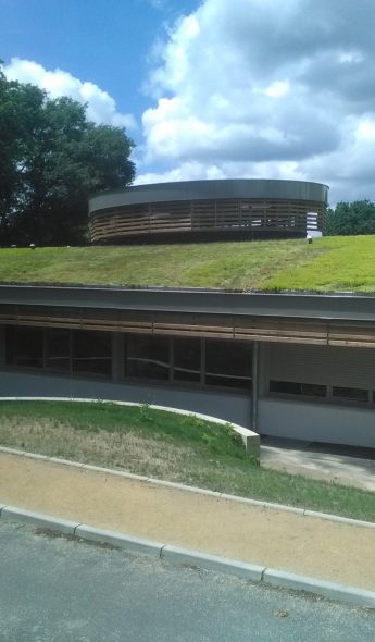 Centre de Gériatrie Saubagnacq - végétalisation